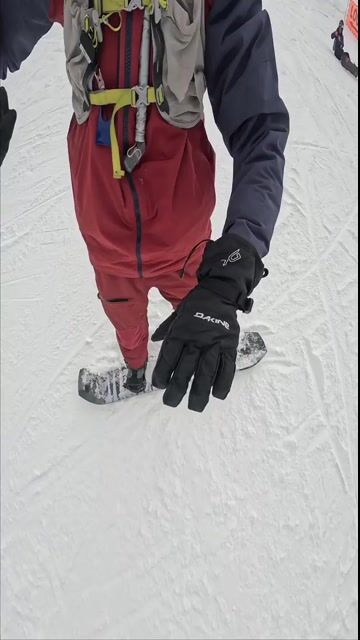 Dakine Men's Scout Gloves
